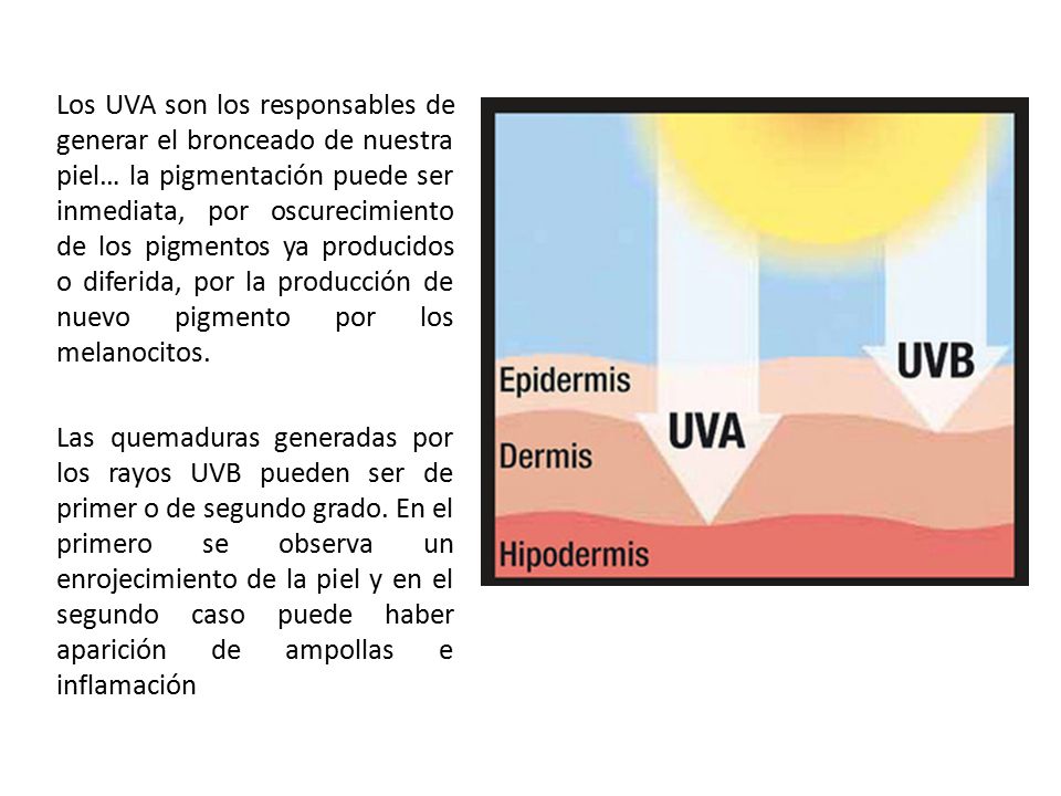 Los UVA son los responsables de generar el bronceado de nuestra piel… la pigmentación puede ser inmediata, por oscurecimiento de los pigmentos ya producidos o diferida, por la producción de nuevo pigmento por los melanocitos.