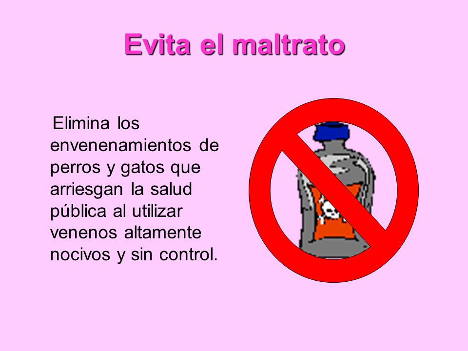Evita el maltrato Elimina los envenenamientos de perros y gatos que arriesgan la salud pública al utilizar venenos altamente nocivos y sin control.