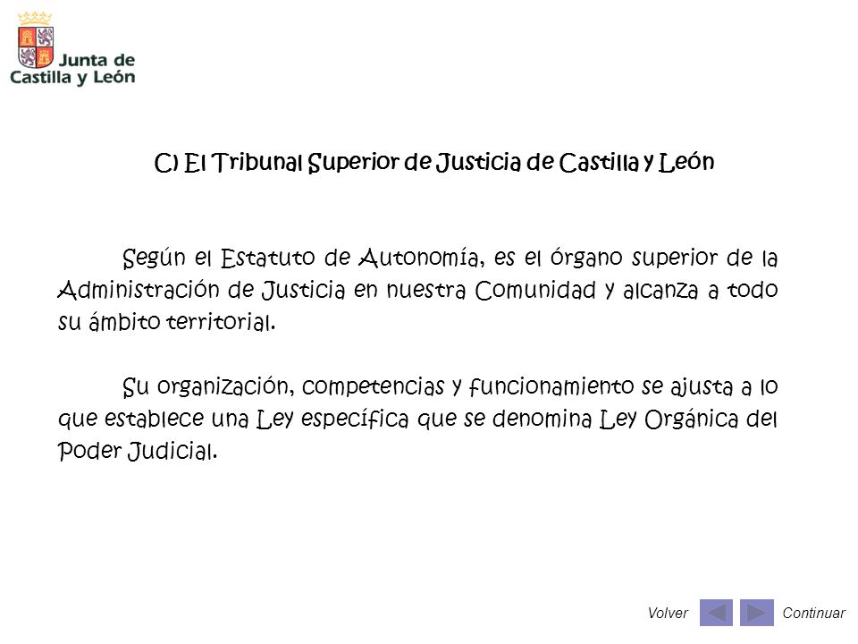 C) El Tribunal Superior de Justicia de Castilla y León