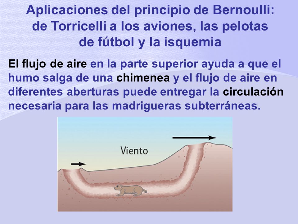 Aplicaciones del principio de Bernoulli: de Torricelli a los aviones, las pelotas de fútbol y la isquemia