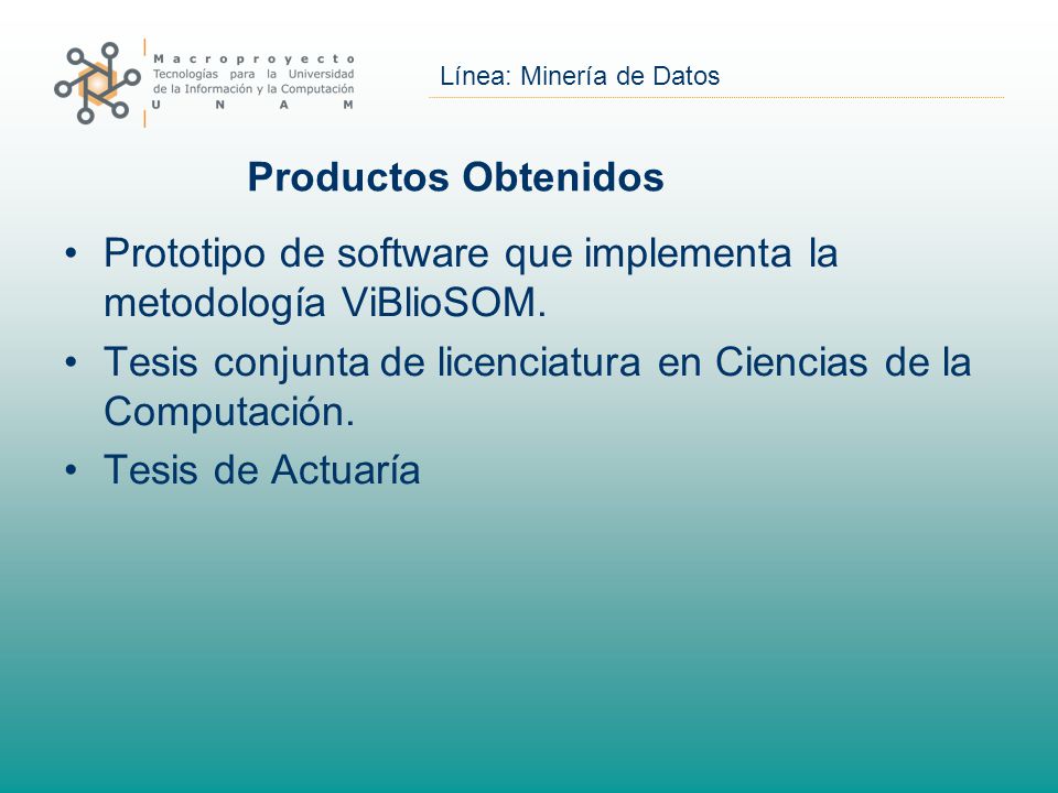 Productos Obtenidos Prototipo de software que implementa la metodología ViBlioSOM. Tesis conjunta de licenciatura en Ciencias de la Computación.