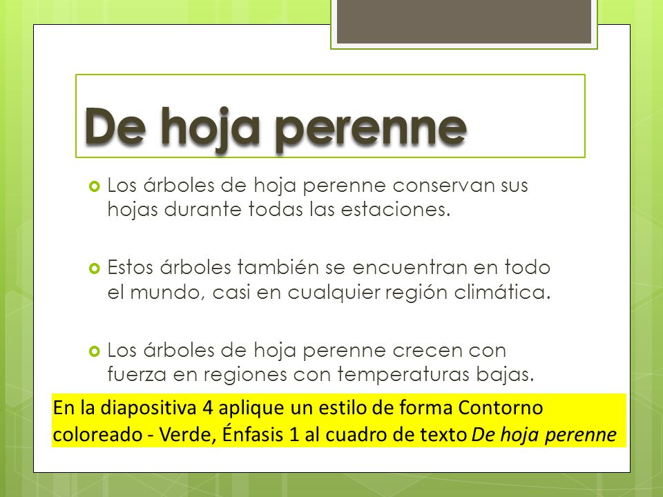 De hoja perenne Los árboles de hoja perenne conservan sus hojas durante todas las estaciones.