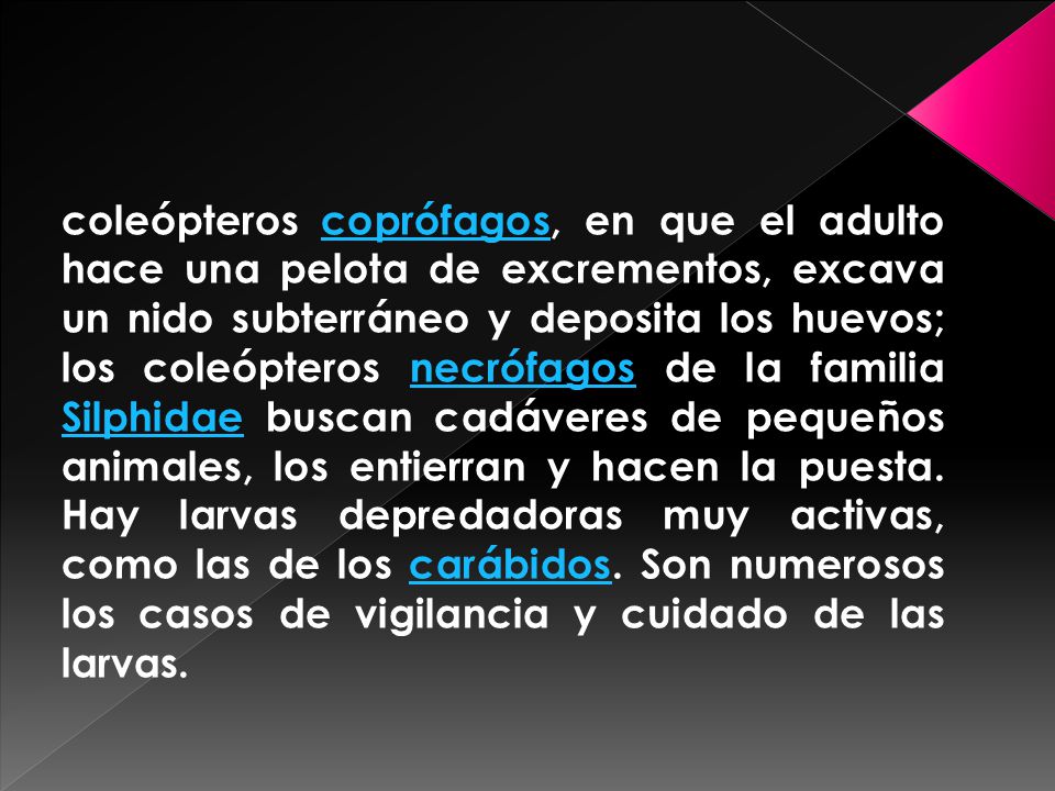 coleópteros coprófagos, en que el adulto hace una pelota de excrementos, excava un nido subterráneo y deposita los huevos; los coleópteros necrófagos de la familia Silphidae buscan cadáveres de pequeños animales, los entierran y hacen la puesta.