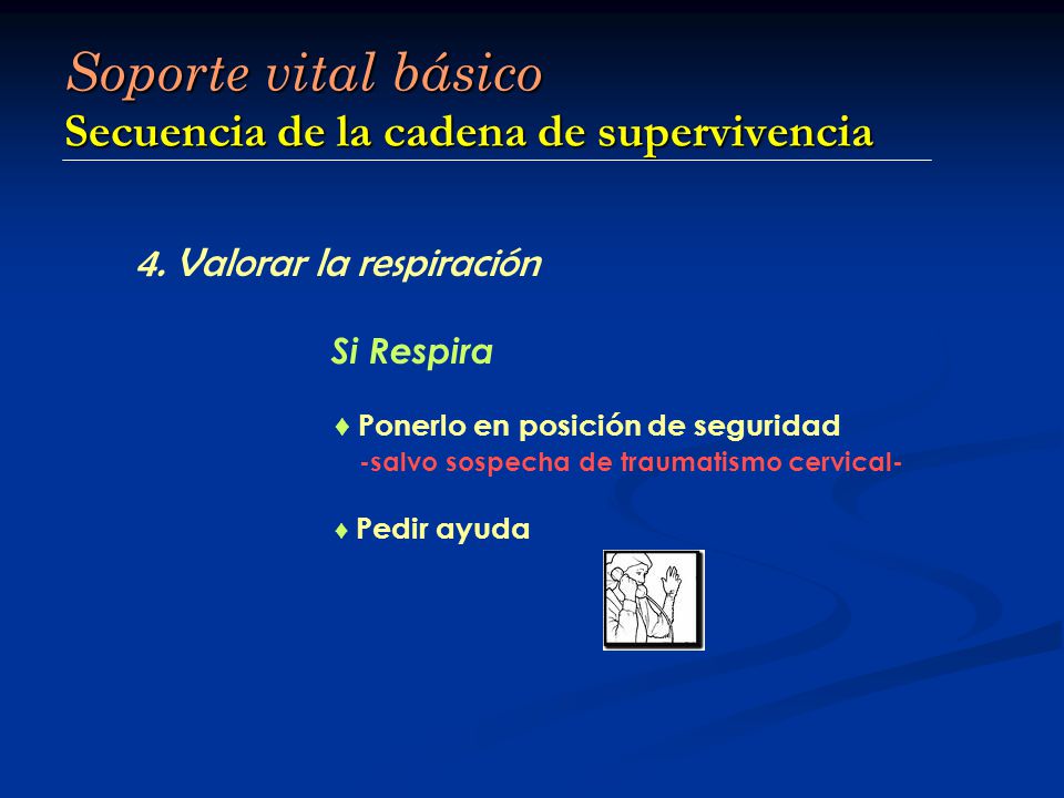 Soporte vital básico Secuencia de la cadena de supervivencia