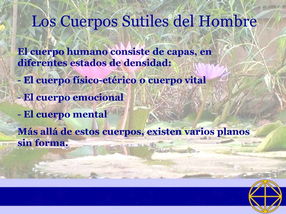 Los Cuerpos Sutiles del Hombre