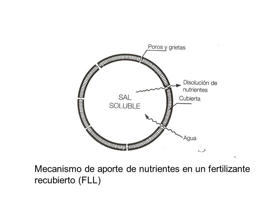 Mecanismo de aporte de nutrientes en un fertilizante recubierto (FLL)