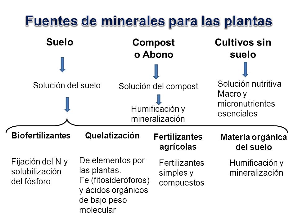 Fuentes de minerales para las plantas