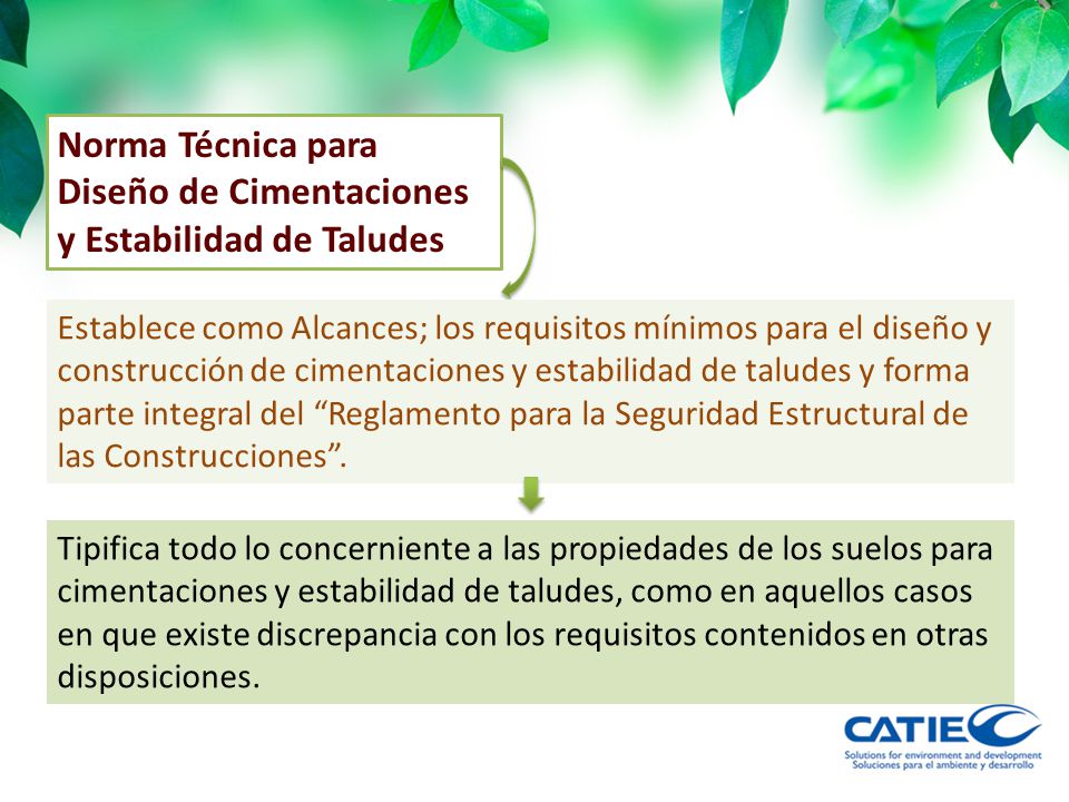 Norma Técnica para Diseño de Cimentaciones y Estabilidad de Taludes