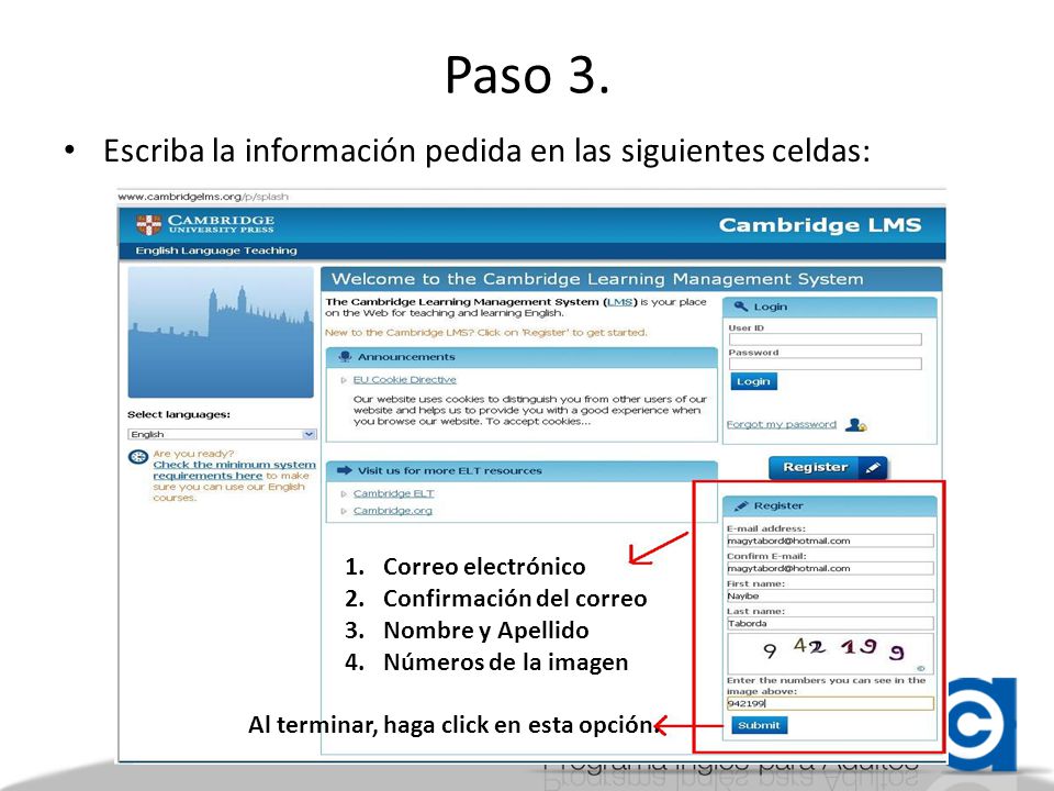Paso 3. Escriba la información pedida en las siguientes celdas: