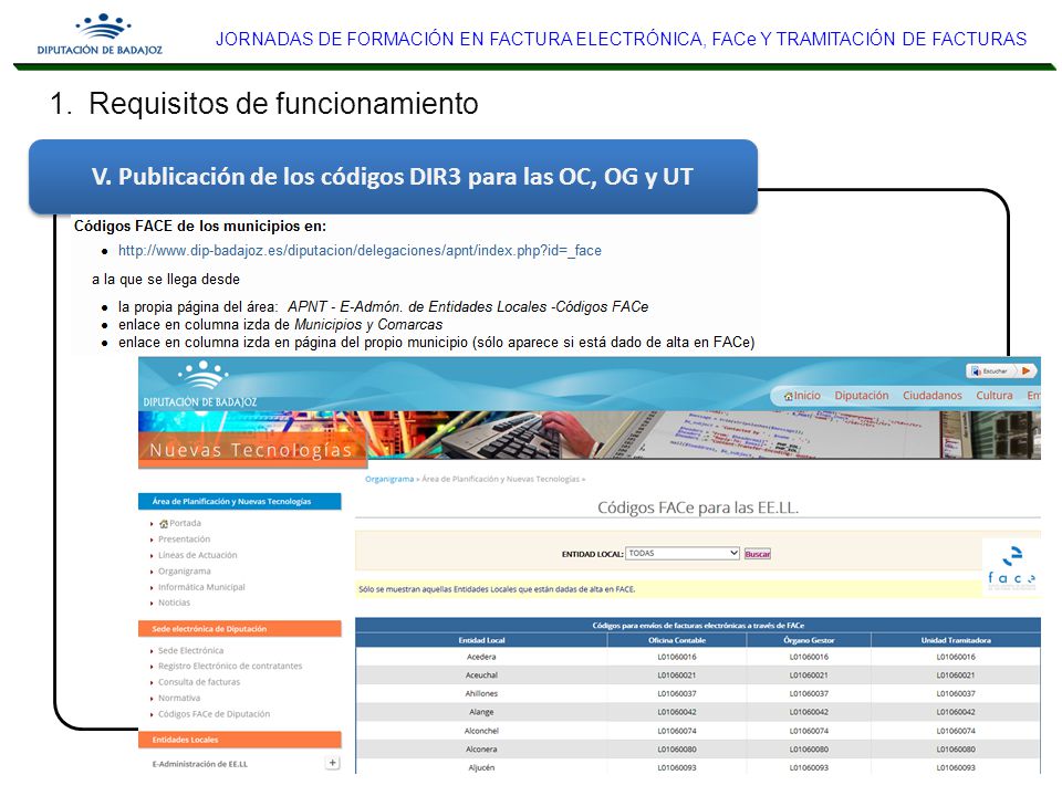 V. Publicación de los códigos DIR3 para las OC, OG y UT