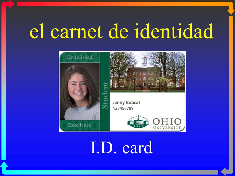 el carnet de identidad I.D. card