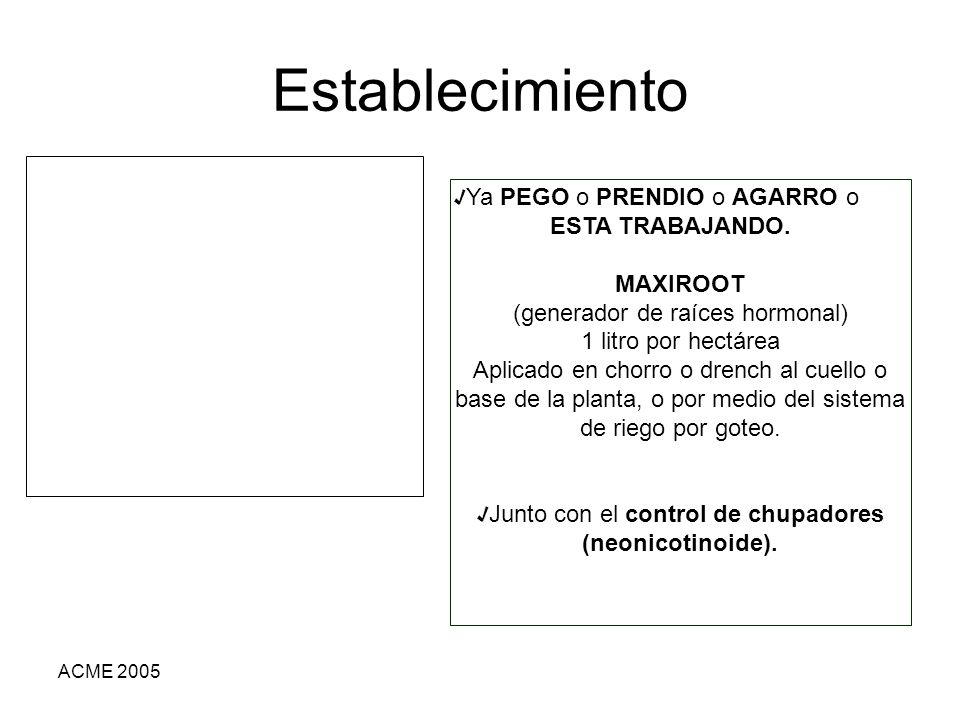 Establecimiento Ya PEGO o PRENDIO o AGARRO o ESTA TRABAJANDO. MAXIROOT