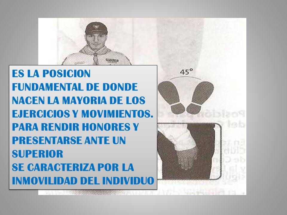 ES LA POSICION FUNDAMENTAL DE DONDE NACEN LA MAYORIA DE LOS EJERCICIOS Y MOVIMIENTOS.