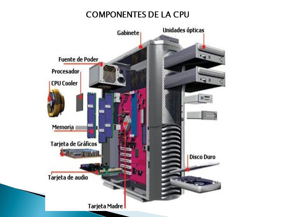 COMPONENTES DE LA CPU