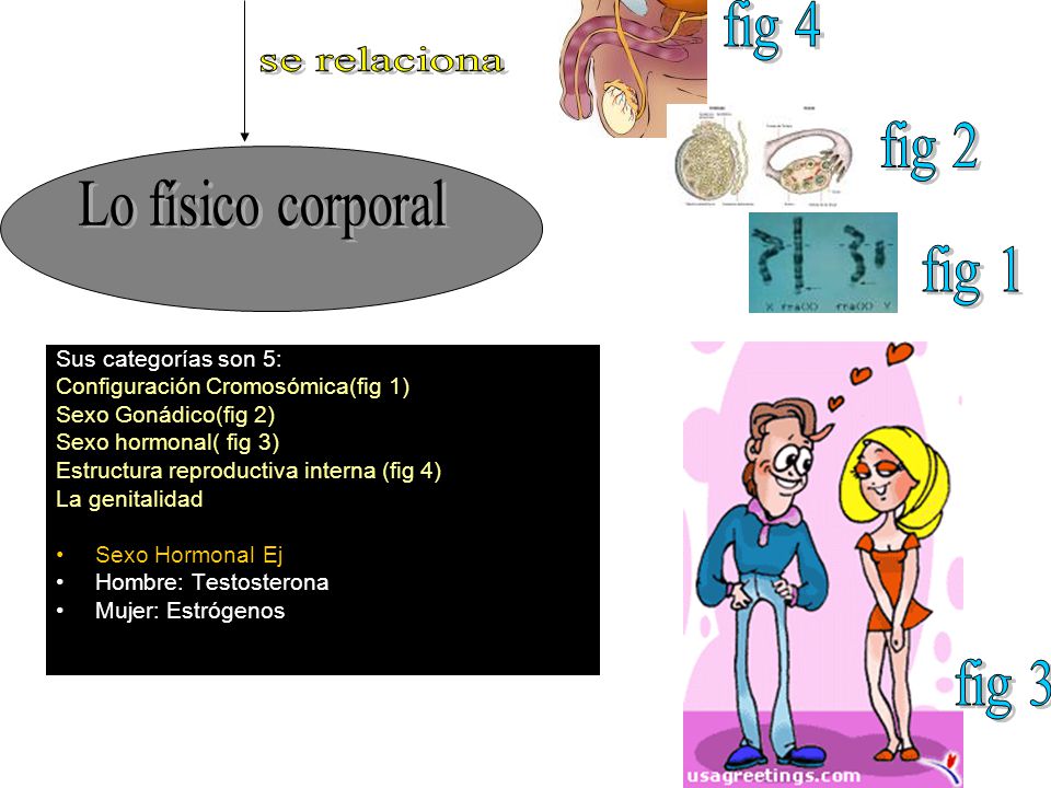 fig 4 se relaciona fig 2 Lo físico corporal fig 1 fig 3