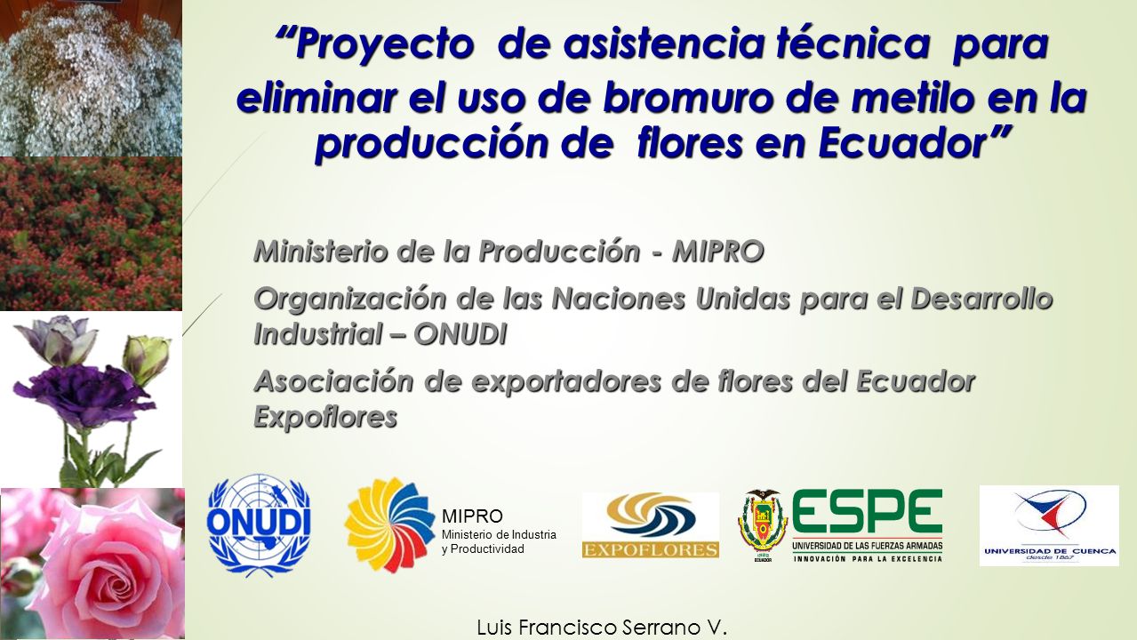 Proyecto de asistencia técnica para eliminar el uso de bromuro de metilo en la producción de flores en Ecuador