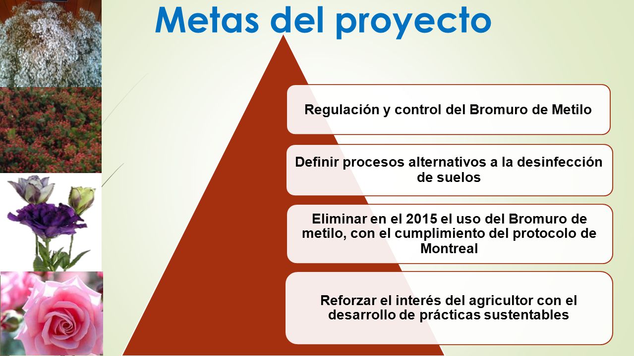 Metas del proyecto Regulación y control del Bromuro de Metilo