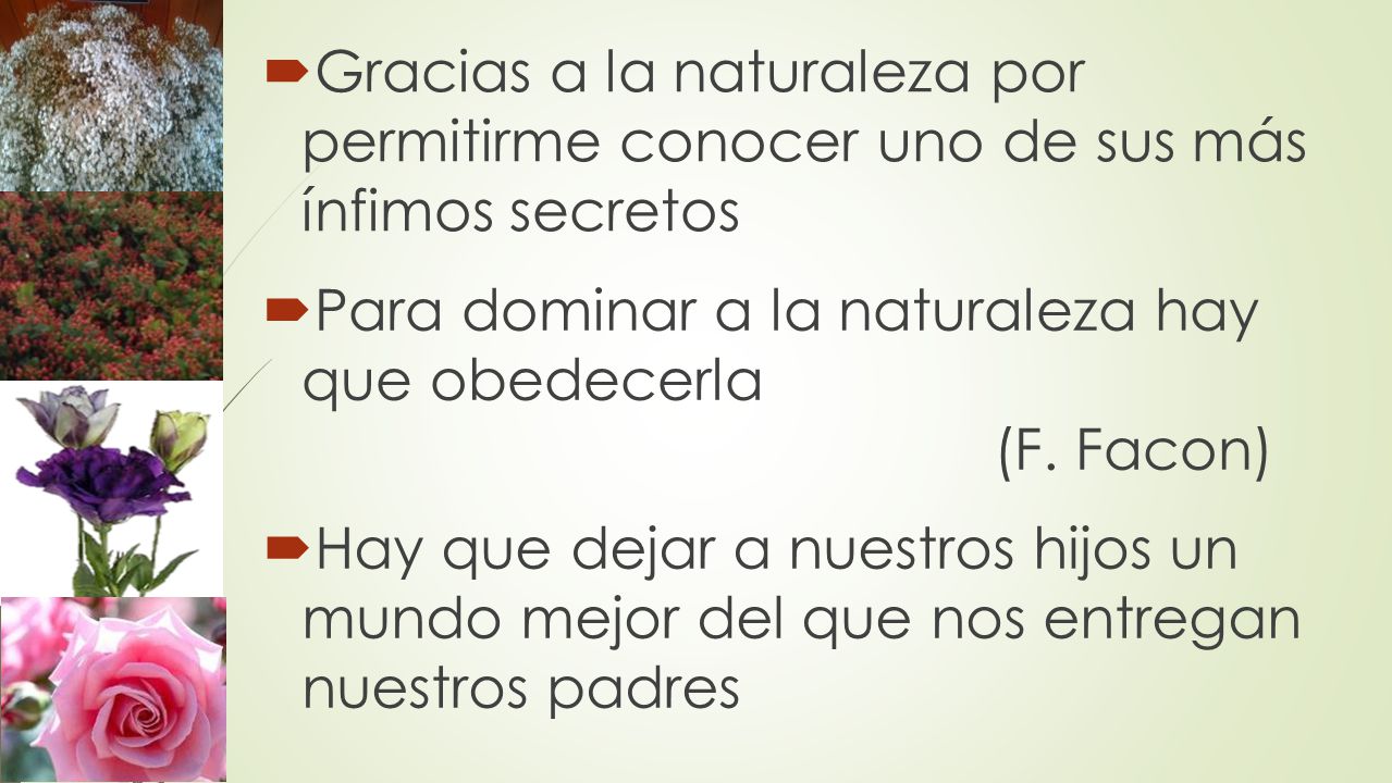 Gracias a la naturaleza por permitirme conocer uno de sus más ínfimos secretos