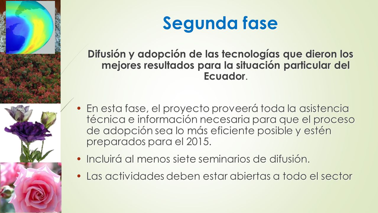 Segunda fase Difusión y adopción de las tecnologías que dieron los mejores resultados para la situación particular del Ecuador.