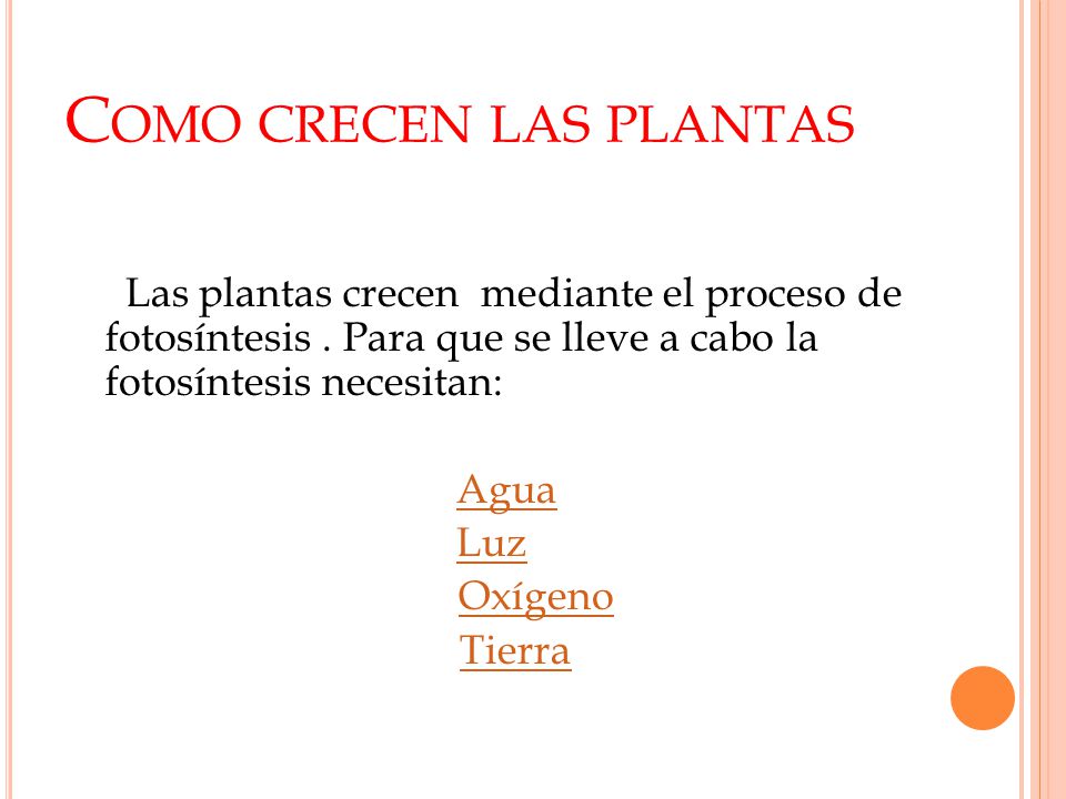 Como crecen las plantas