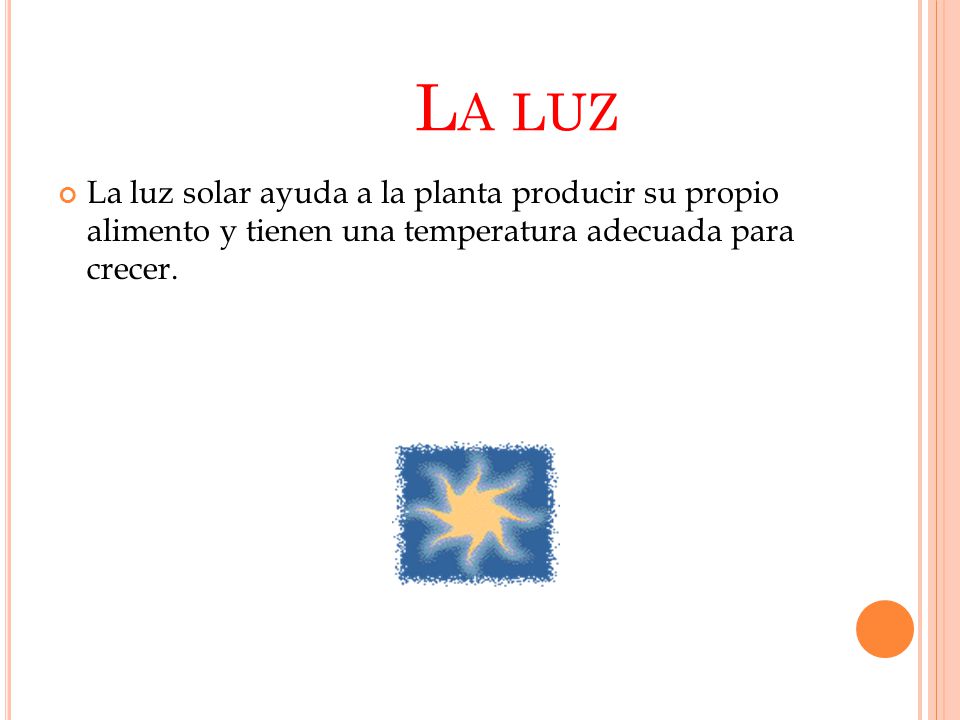 La luz La luz solar ayuda a la planta producir su propio alimento y tienen una temperatura adecuada para crecer.