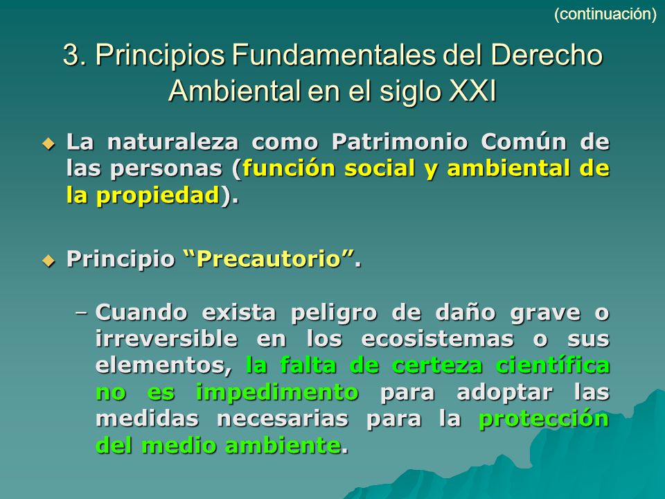 3. Principios Fundamentales del Derecho Ambiental en el siglo XXI