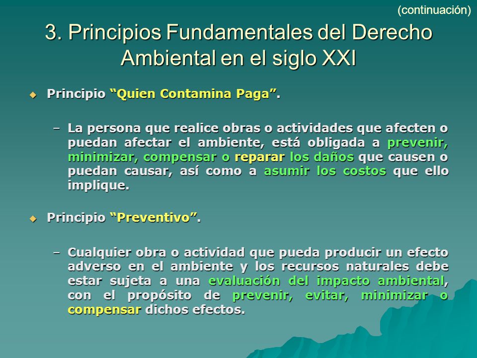3. Principios Fundamentales del Derecho Ambiental en el siglo XXI