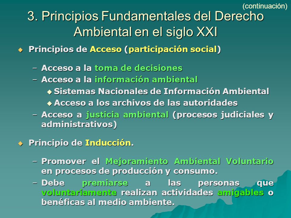 3. Principios Fundamentales del Derecho Ambiental en el siglo XXI