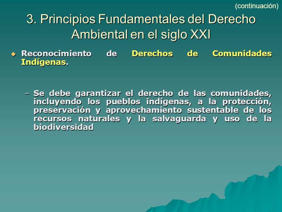 3. Principios Fundamentales del Derecho Ambiental en el siglo XXI