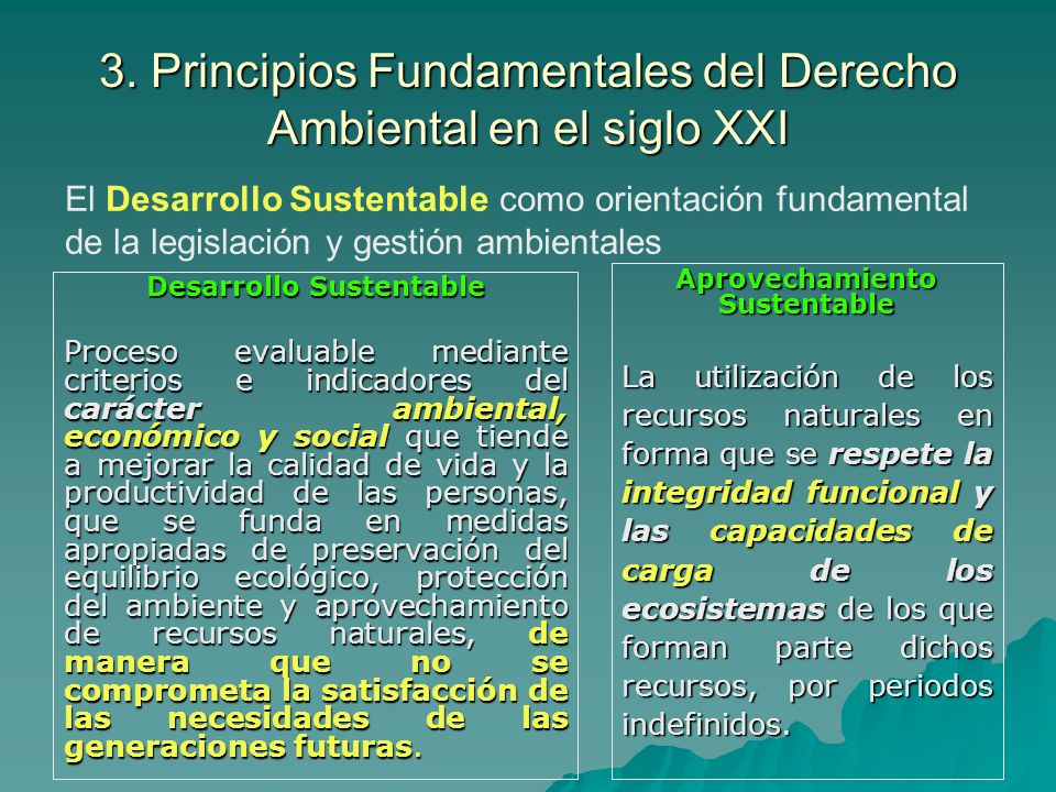 3. Principios Fundamentales del Derecho Ambiental en el siglo XXI