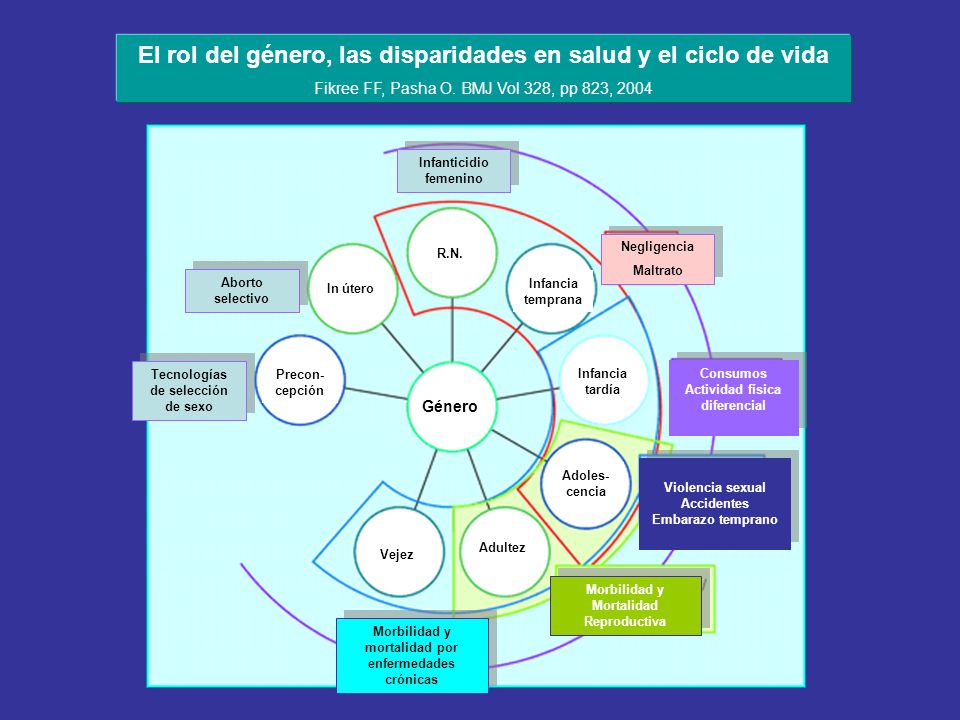 El rol del género, las disparidades en salud y el ciclo de vida