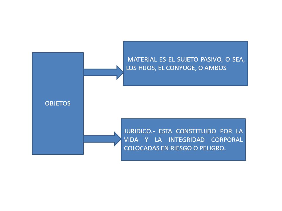MATERIAL ES EL SUJETO PASIVO, O SEA, LOS HIJOS, EL CONYUGE, O AMBOS