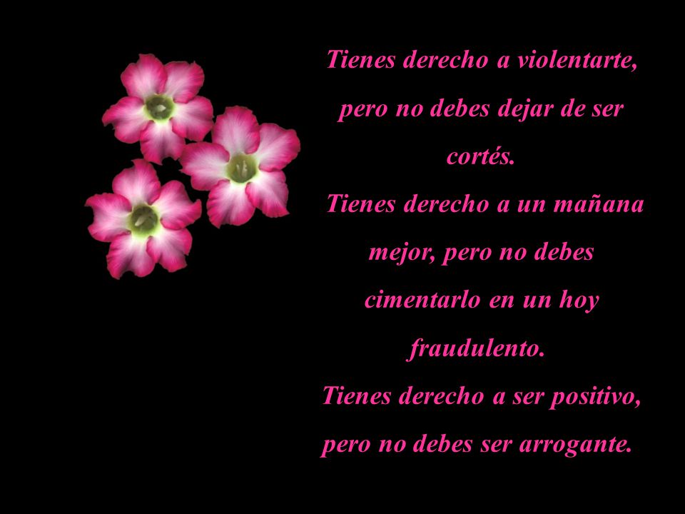 Tienes derecho a violentarte, pero no debes dejar de ser cortés.
