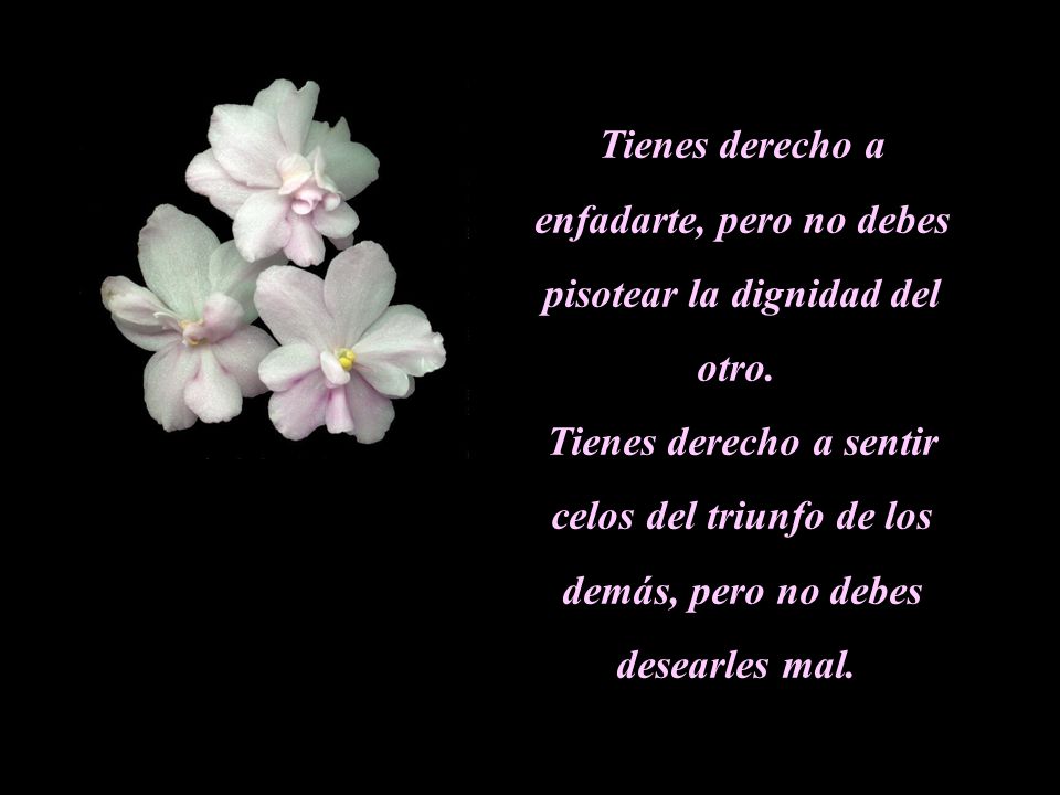 Tienes derecho a enfadarte, pero no debes pisotear la dignidad del otro.