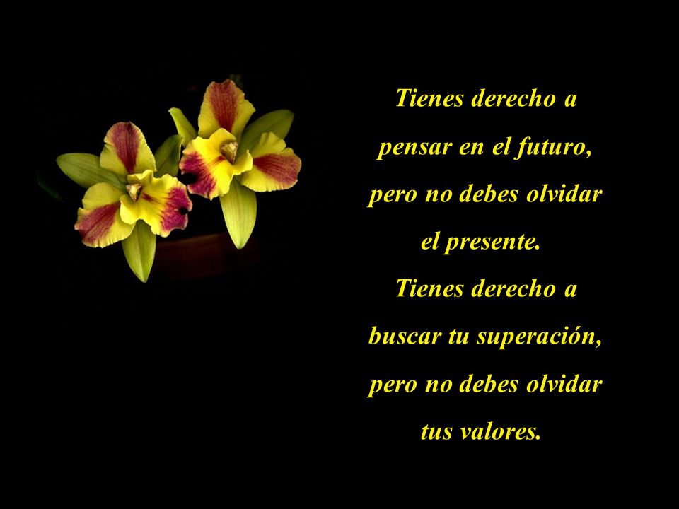 Tienes derecho a pensar en el futuro, pero no debes olvidar el presente.