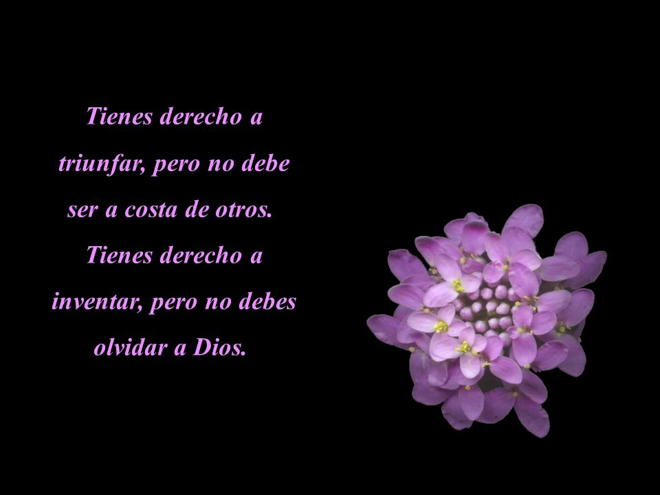 Tienes derecho a triunfar, pero no debe ser a costa de otros.