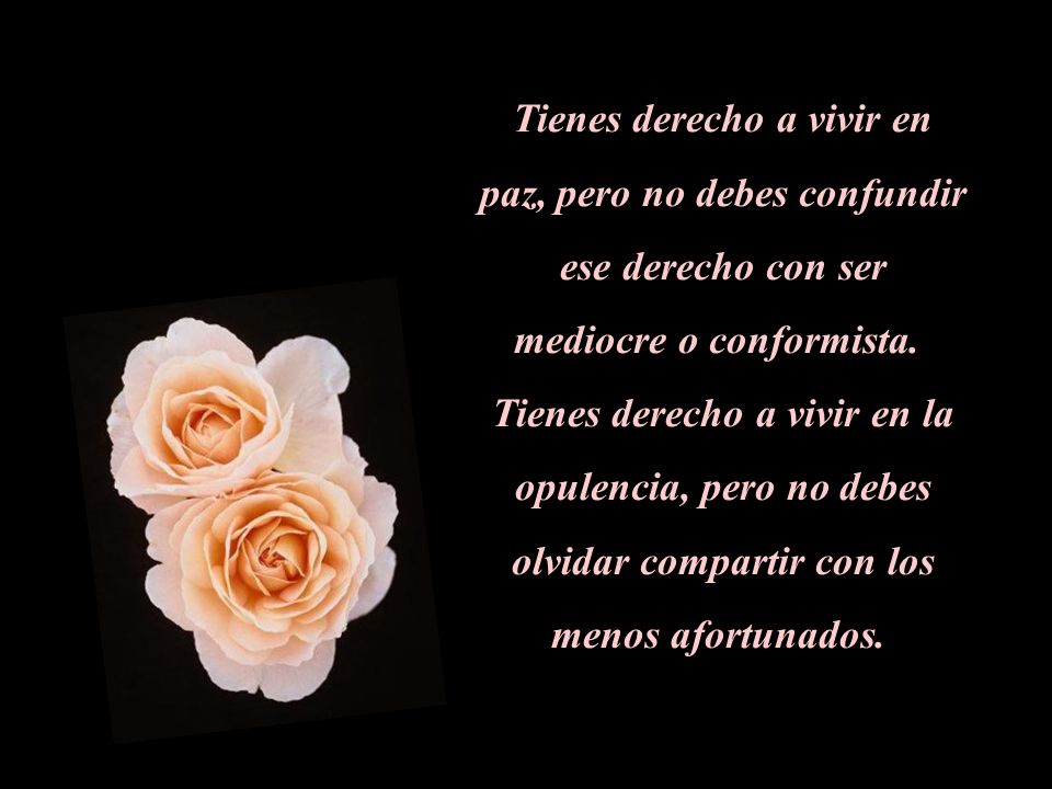 Tienes derecho a vivir en paz, pero no debes confundir ese derecho con ser mediocre o conformista.