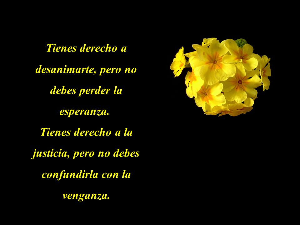 Tienes derecho a desanimarte, pero no debes perder la esperanza.