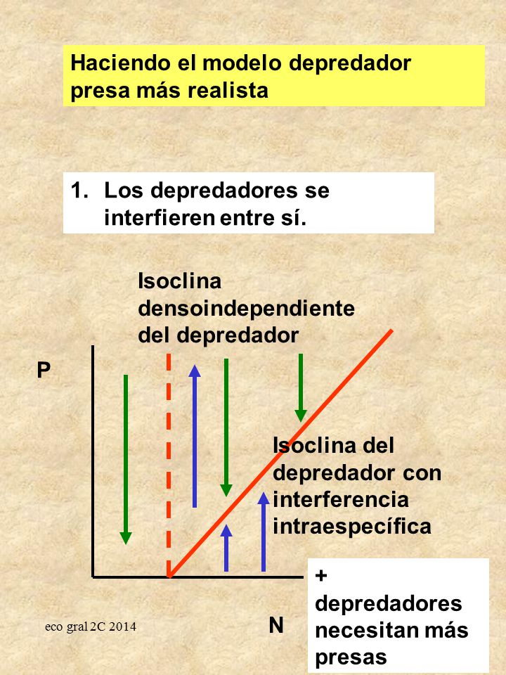 Haciendo el modelo depredador presa más realista