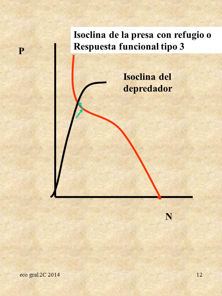 Isoclina de la presa con refugio o Respuesta funcional tipo 3