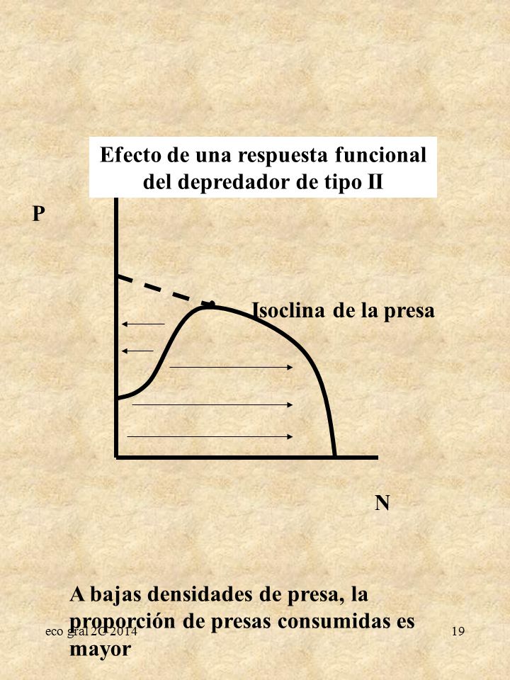 Efecto de una respuesta funcional del depredador de tipo II