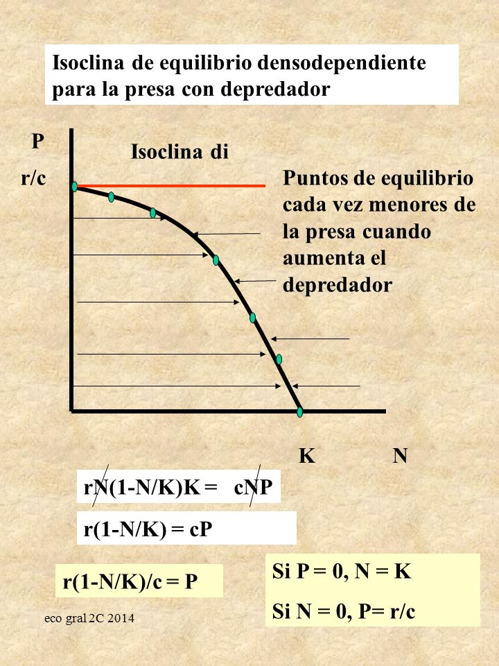Isoclina de equilibrio densodependiente para la presa con depredador