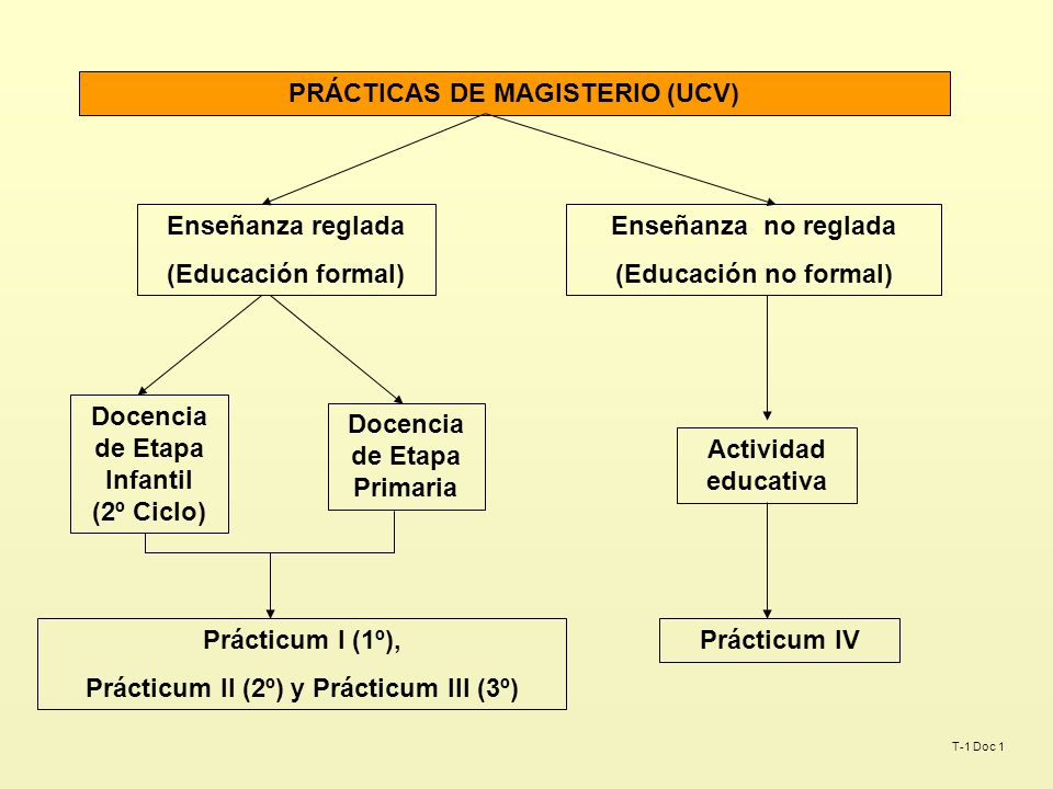 PRÁCTICAS DE MAGISTERIO (UCV)