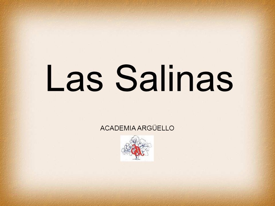 Las Salinas ACADEMIA ARGÜELLO