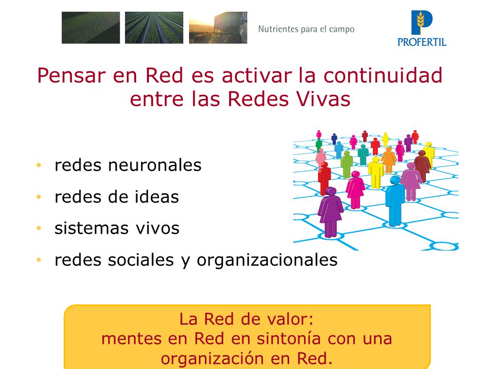 Pensar en Red es activar la continuidad entre las Redes Vivas