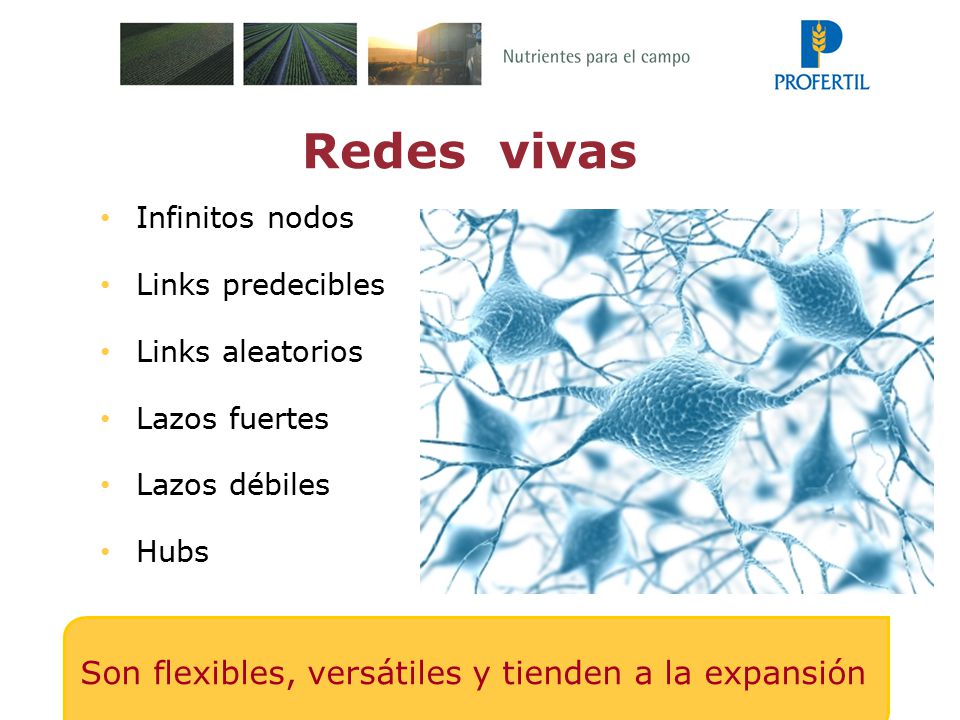 Redes vivas Son flexibles, versátiles y tienden a la expansión