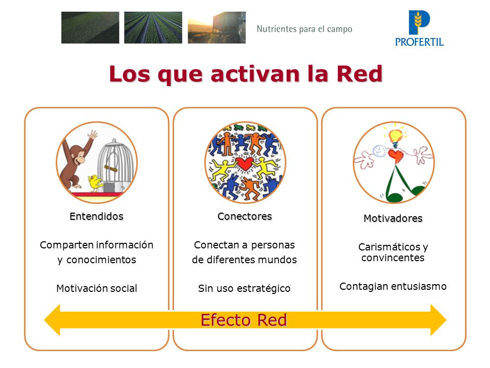 Los que activan la Red Efecto Red Comparten información