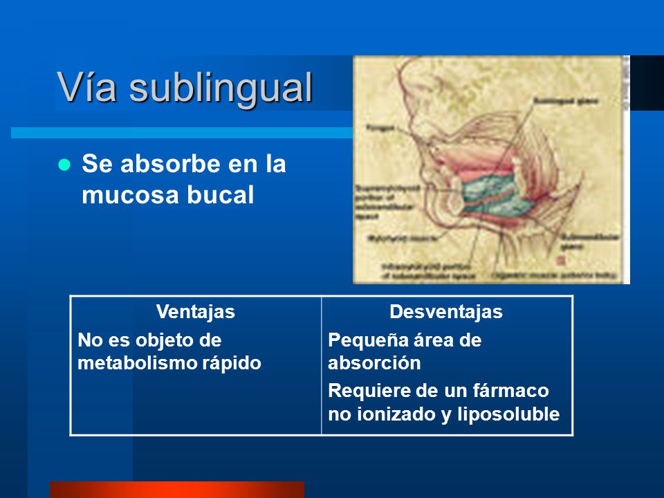 Vía sublingual Se absorbe en la mucosa bucal Ventajas
