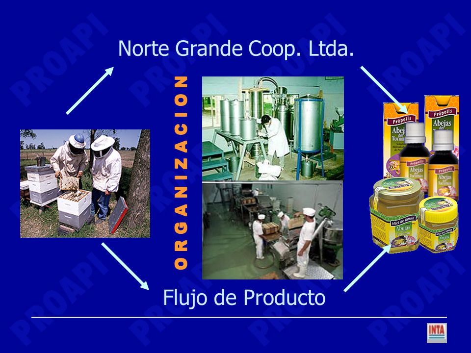Norte Grande Coop. Ltda. Flujo de Producto O R G A N I Z A C I O N