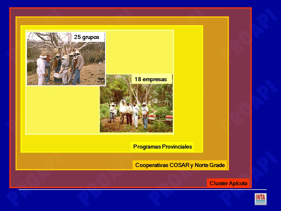 Cluster Apícola Cooperativas COSAR y Norte Grade Programas Provinciales 18 empresas 25 grupos